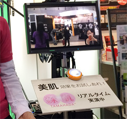 「珠肌(たまはだ)」のデモ