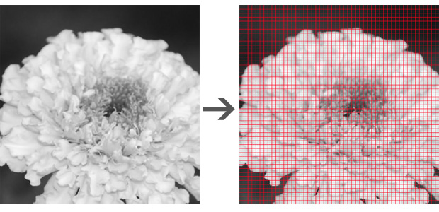「デジタル画像」の例 イメージ